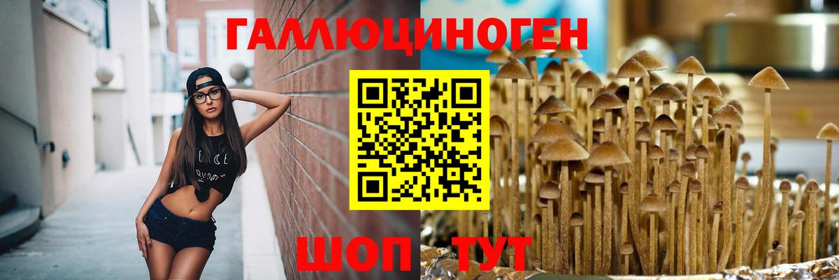 Вологда  Галлюциногенные грибы Psilocybe  Вход с VPN  Псилоцибиновые грибы Magic Shrooms 