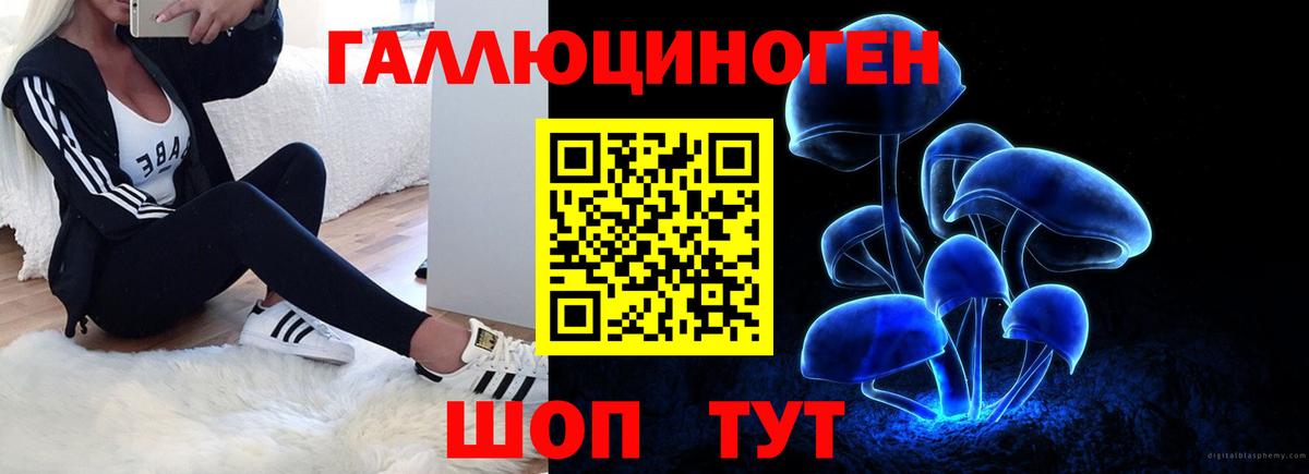 Псилоцибиновые грибы Magic Shrooms Вологда